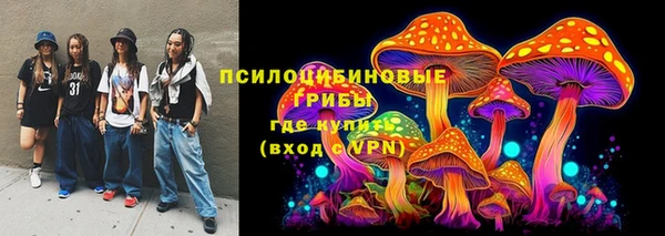 стафф Белокуриха