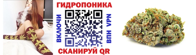 Купить  Красноуфимск  Каннабис план 